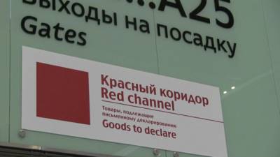 Константин Салаев - Казанский таможенник обвиняется в получении взятки от пассажирки - nation-news.ru - Казань - Стамбул