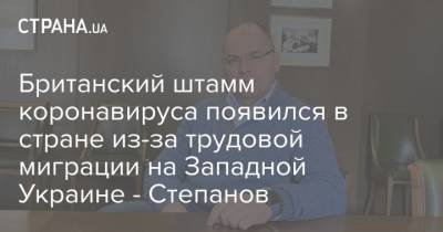 Максим Степанов - Британский штамм коронавируса появился в стране из-за трудовой миграции на Западной Украине - Степанов - strana.ua - Лондон - Ивано-Франковская обл.