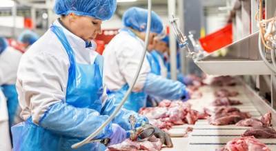 Ритейл и производители намерены зафиксировать цены на мясо птицы - readovka.ru
