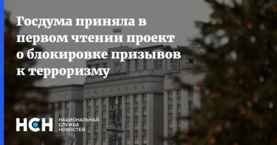 Госдума приняла в первом чтении проект о блокировке призывов к терроризму - nsn.fm