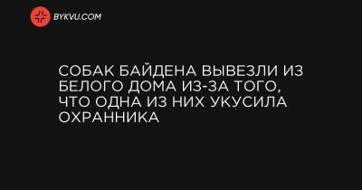 Собак Байдена вывезли из Белого дома из-за того, что одна из них укусила охранника - bykvu.com - штат Делавэр