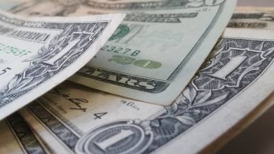 Владимир Гутенев - Депутат Госдумы объяснил, почему доллар США находится «в зоне риска» - polit.info - Россия - США