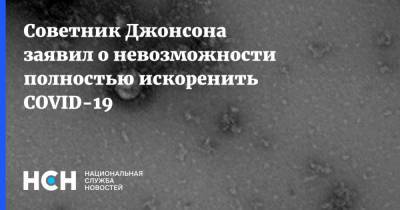 Советник Джонсона заявил о невозможности полностью искоренить COVID-19 - nsn.fm - Англия - Великобритания