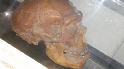 Палеонтологи выяснили, когда неандертальцы исчезли из Европы - polit.info - Бельгия