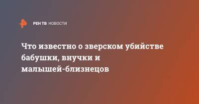 Сергей Морозов - Что известно о зверском убийстве бабушки, внучки и малышей-близнецов - ren.tv - Московская обл. - Московская область