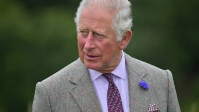 принц Гарри - принц Чарльз - Опря Уинфри - Принц Чарльз не стал комментировать скандальное интервью своего сына и невестки - mir24.tv