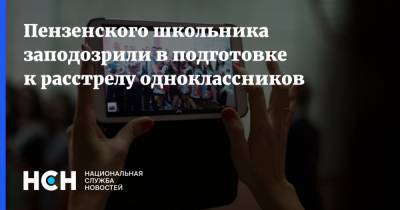 Пензенского школьника заподозрили в подготовке к расстрелу одноклассников - nsn.fm - Пензенская обл.