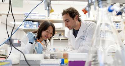 Химики создали искусственные сухожилия - readovka.news - Лос-Анджелес - шт. Калифорния - Университет