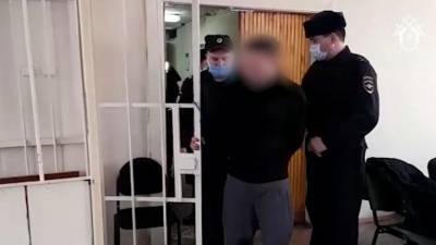 Арестован подозреваемый в убийстве женщины и детей в Подмосковье - vesti.ru - Московская обл.