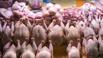 Никита Масленников - Эксперт прокомментировал ситуацию с ценами на мясо птицы - russian.rt.com