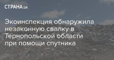 Экоинспекция обнаружила незаконную свалку в Тернопольской области при помощи спутника - strana.ua - Тернопольская обл.