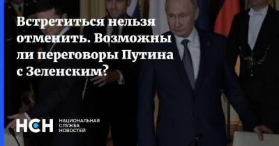 Владимир Зеленский - Владимир Путин - Родион Мирошник - Встретиться нельзя отменить. Возможны ли переговоры Путина с Зеленским? - nsn.fm - Киев - ЛНР