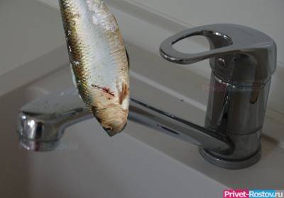 Прогнать рыбную воду из домов ростовчан обещает директор «Водоканала» 12 марта - privet-rostov.ru - Алексей