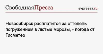 Новосибирск расплатится за оттепель погружением в лютые морозы, — погода от Гисметео - svpressa.ru - Новосибирск - Новосибирская обл.