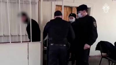 Суд арестовал подозреваемого в убийстве женщины и ее троих внуков в Подмосковье - piter.tv - Московская обл.