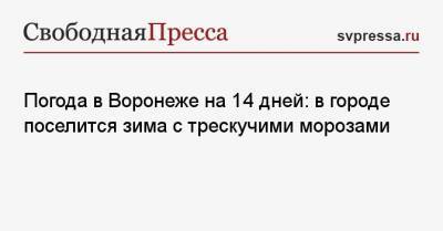 Погода в Воронеже на 14 дней: в городе поселится зима с трескучими морозами - svpressa.ru - Воронеж - Воронежская обл.