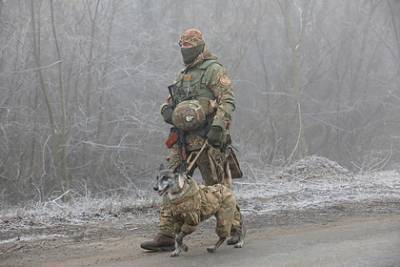 Сергей Гармаш - Украина обвинила Россию в планах совершить военную провокацию в Донбассе - lenta.ru - Луганская обл. - Донецкая обл.