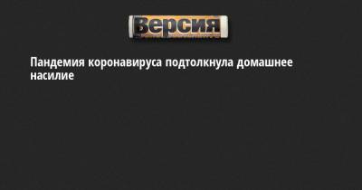 Пандемия коронавируса подтолкнула домашнее насилие - neva.versia.ru - Санкт-Петербург