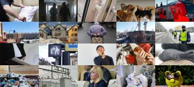Все, что случилось сегодня - stolicaonego.ru - респ. Коми - республика Карелия