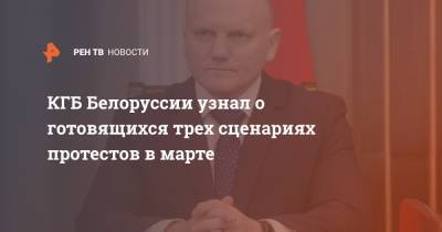 Александр Лукашенко - Светлана Тихановская - Иван Тертель - КГБ Белоруссии узнал о готовящихся трех сценариях протестов в марте - ren.tv - Литва - Минск