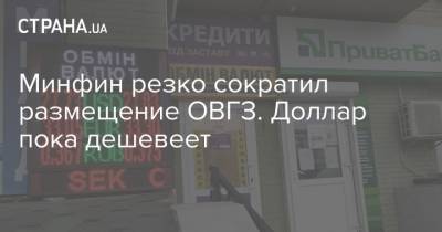 Минфин резко сократил размещение ОВГЗ. Доллар пока дешевеет - strana.ua