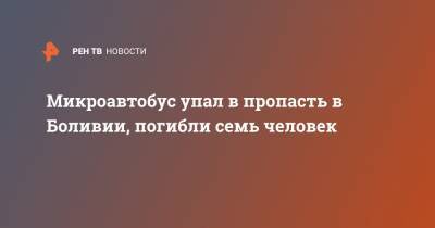 Микроавтобус упал в пропасть в Боливии, погибли семь человек - ren.tv - Боливия