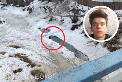 Александр Клименко - Девочка 15 минут тонула на глазах у взрослых, а из проруби ее спас школьник - rusonline.org - Красноярск