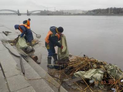 Самый замусоренный участок Невы очистили специалисты - neva.today - Санкт-Петербург