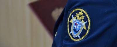В Бердске после убийства женщины возбудили уголовное дело по факту халатности полицейского - runews24.ru - Новосибирская обл. - Бердск