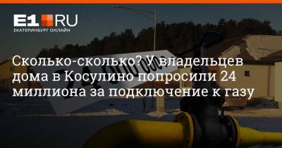 Филипп Сапегин - Сколько-сколько? У владельцев дома в Косулино попросили 24 миллиона за подключение к газу - e1.ru - Екатеринбург