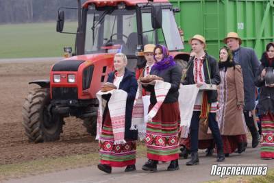 Праздник первой борозды прошел в СПК «Свислочь» (+видео) - grodnonews.by