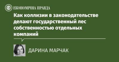 Как коллизии в законодательстве делают государственный лес собственностью отдельных компаний - epravda.com.ua