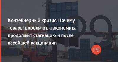 Контейнерный кризис. Почему товары дорожают, а экономика продолжит стагнацию и после всеобщей вакцинации - thepage.ua