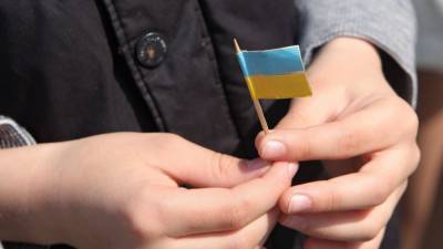 Илья Кива - Депутат Рады предрек Украине окончательную потерю Донбасса - riafan.ru - Киев - Крым - Донбасс