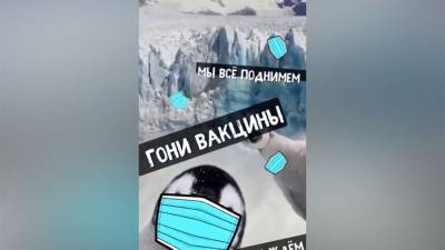 Дмитрий Песков - МИД РФ по случаю Дня смеха опубликовал пародию на мем с котами - m24.ru