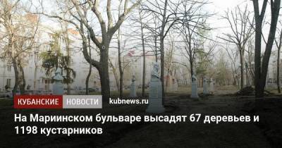 Александр Суворов - Евгений Первышов - На Мариинском бульваре высадят 67 деревьев и 1198 кустарников - kubnews.ru - Краснодарский край - Краснодар - Благоустройство