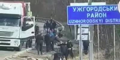 В Ужгороде избили дальнобойщика, который за взятку проехал без очереди – видео - ТЕЛЕГРАФ - telegraf.com.ua - Украина - Одесса - Харьков - Винницкая обл. - Словакия - Ужгород