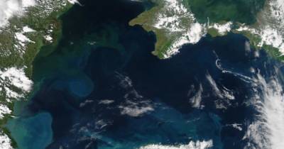 На дне Черного моря ледниковый период еще не закончился, – ученые - focus.ua - Черное Море