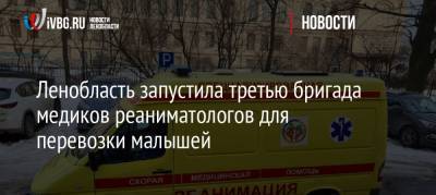 Ленобласть запустила третью бригада медиков реаниматологов для перевозки малышей - ivbg.ru - Ленинградская обл.