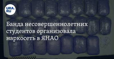 Банда несовершеннолетних студентов организовала наркосеть в ЯНАО - ura.news - Москва - Салехард - окр. Янао