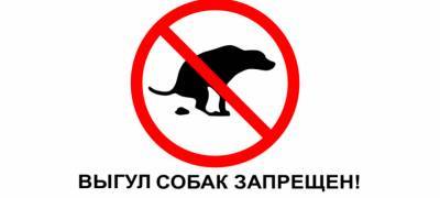 Дворник в Петрозаводске побил женщину, у которой собака нагадила на газон - stolicaonego.ru - Петрозаводск - республика Карелия