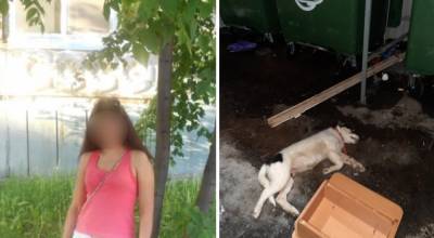 В Уфе нашли женщину, которая выкинула собаку с 10 этажа - bash.news - Башкирия - Уфа