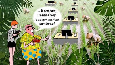 Дорогая поросль: в пандемию расцвёл тренд на озеленение дома и офиса - dp.ru