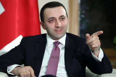 Михаил Саакашвили - Владимир Познер - Ираклий Гарибашвили - Премьер Грузии обвинил партию Саакашвили в провокации при визите Познера - aif.ru - Грузия - Тбилиси