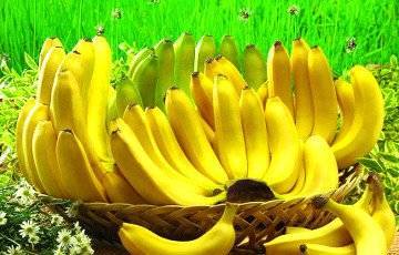 Кристина Журавлева - Медики выяснили, какие бананы лучше есть — желтые или зеленые - charter97.org