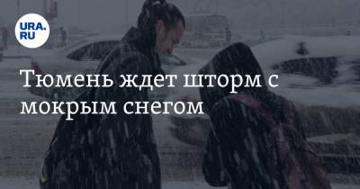 Тюмень ждет шторм с мокрым снегом - ura.news - Тюмень - Тюменская обл.
