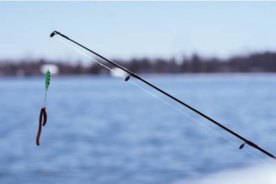 В Одесской области начинается запрет на ловлю рыбы и раков: что можно и что нельзя? - odessa-life.od.ua - Одесская обл.