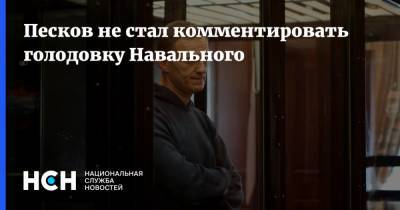 Алексей Навальный - Дмитрий Песков - Песков не стал комментировать голодовку Навального - nsn.fm
