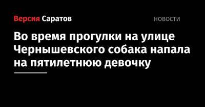 Михаил Исаев - Во время прогулки на улице Чернышевского собака напала на пятилетнюю девочку - nversia.ru - Саратов - район Октябрьский