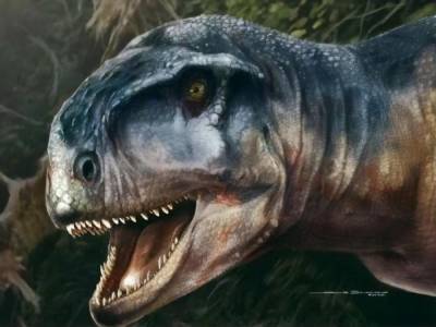 В Аргентине обнаружили новый вид хищных динозавров. Рептилии обитали на Земле около 80 млн лет назад - gordonua.com - Аргентина - Находка